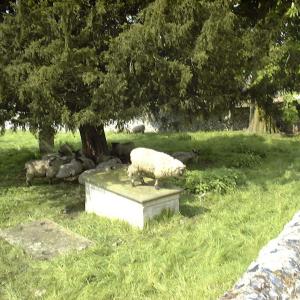 2001 OLD CHURCHYARD