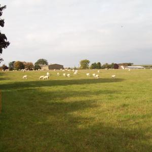 2015 10 10 field beside Kennett Rd footpath