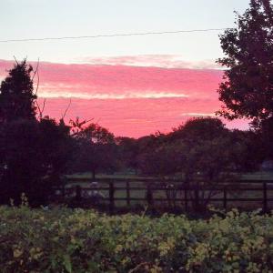 2015 11 10 Brookside Moulton sky in the west 2