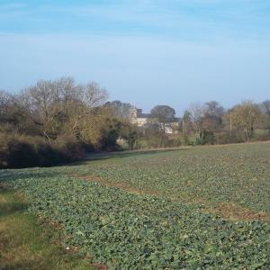 2015 21 03 footpath to Dalham Moulton