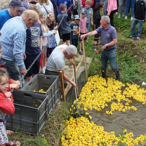 2016 12 06 Moulton Fun day duck race lesley nichols photo 1