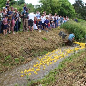 2016 12 06 Moulton Fun day duck race lesley nichols photo 3
