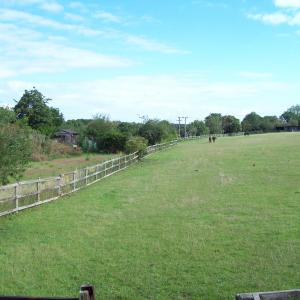 2020 16 07 Moulton View towards Kentford from Gazeley Rd.